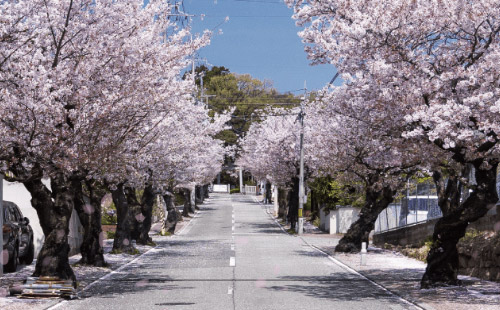 カサーレフォート苦楽園桜町